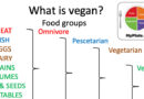Should we be vegan?